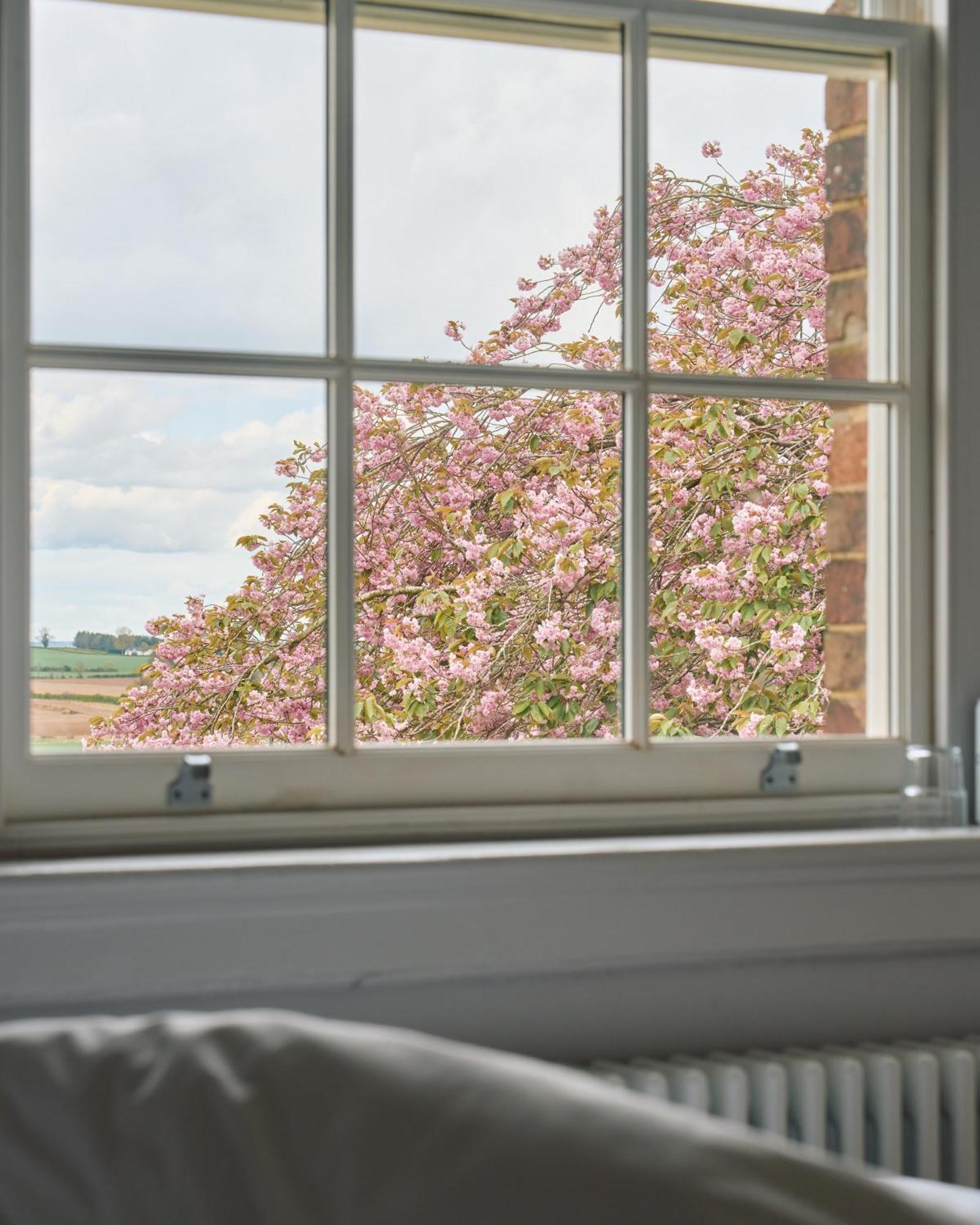 Constantine House Hotell Tamworth Eksteriør bilde